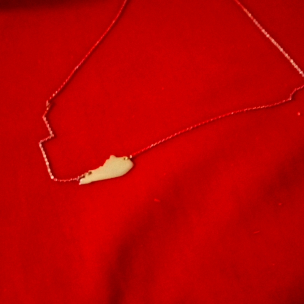 Gold tone Kentucky neclace